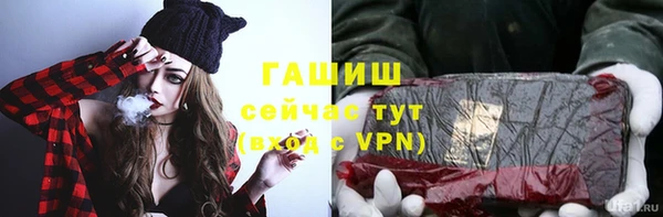 стаф Аркадак