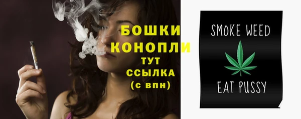 spice Армянск